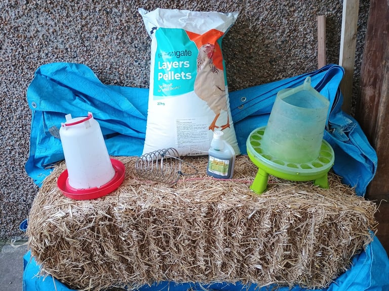 Hen Equipment and feed