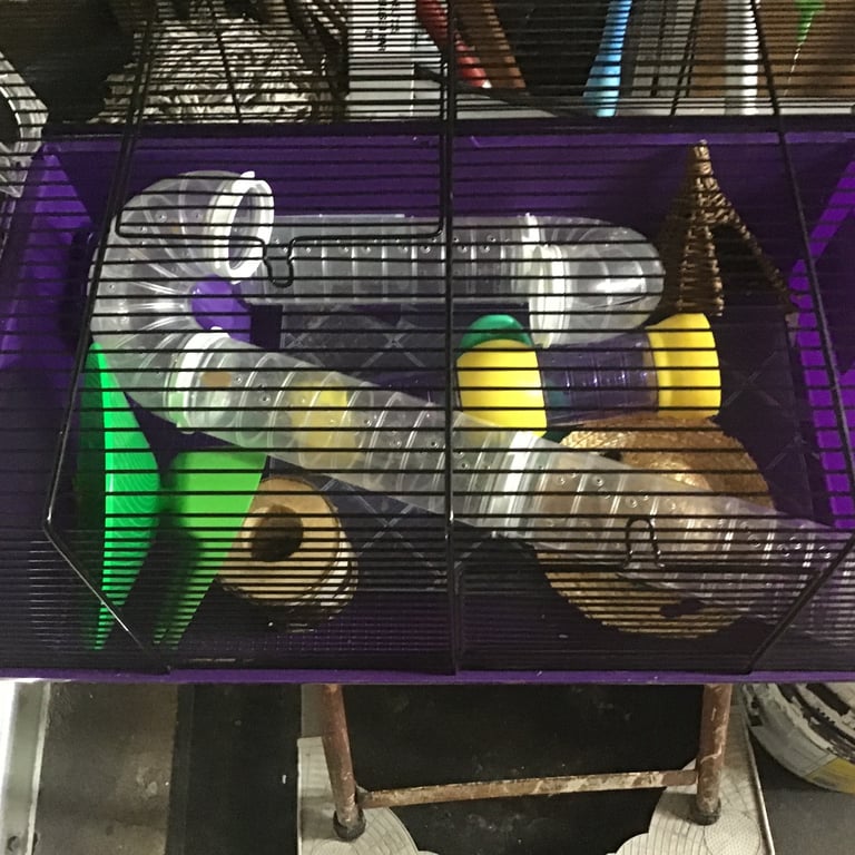 Hamster cage 