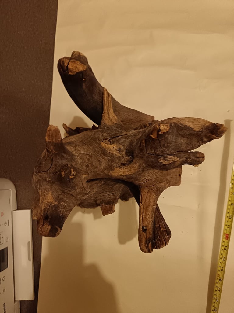Petrified Wood for a fish tank 