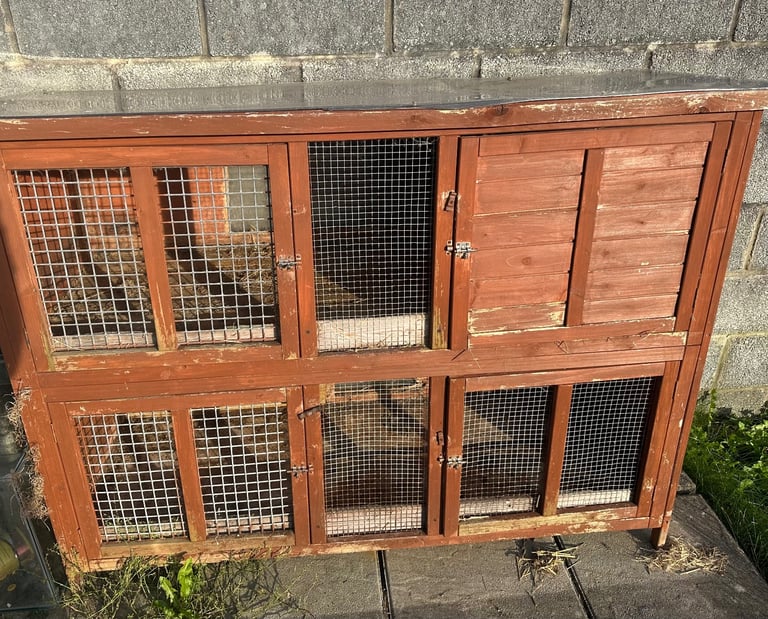 Rabbit hutch free