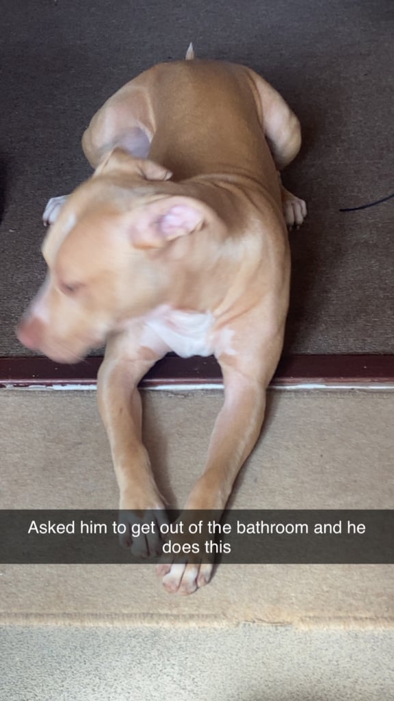 Dexter
