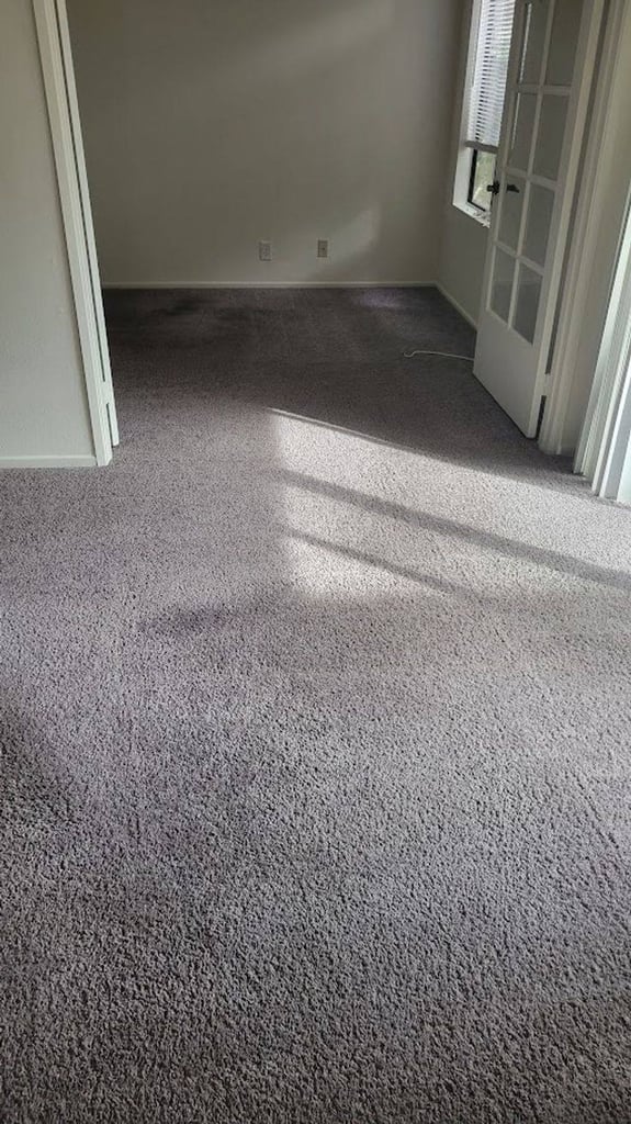 Luxury Carpet flooring