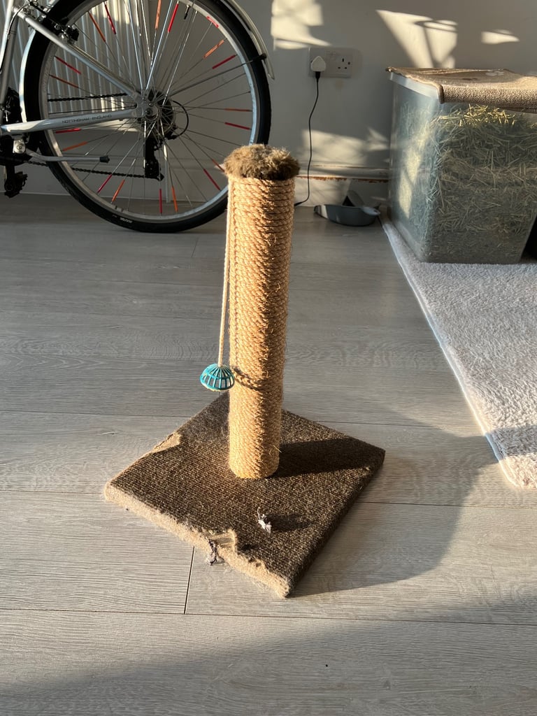 Cat Scratcher Post 