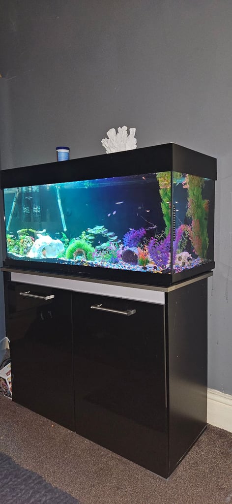 image for Fishtank and stand full set up