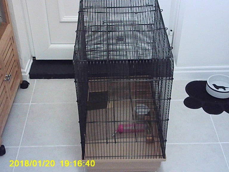 Small-pet Pet Cage + extras