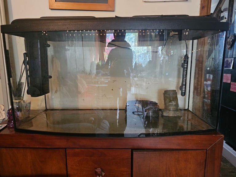 Curved fish tank for sale
