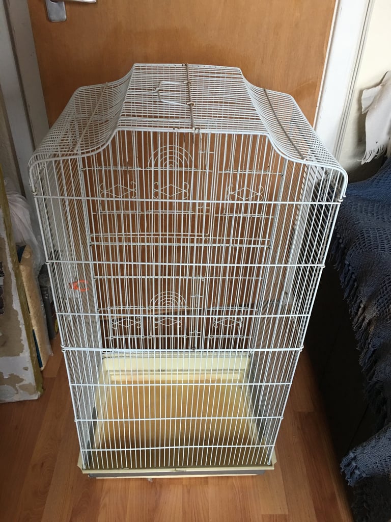 Birds cage