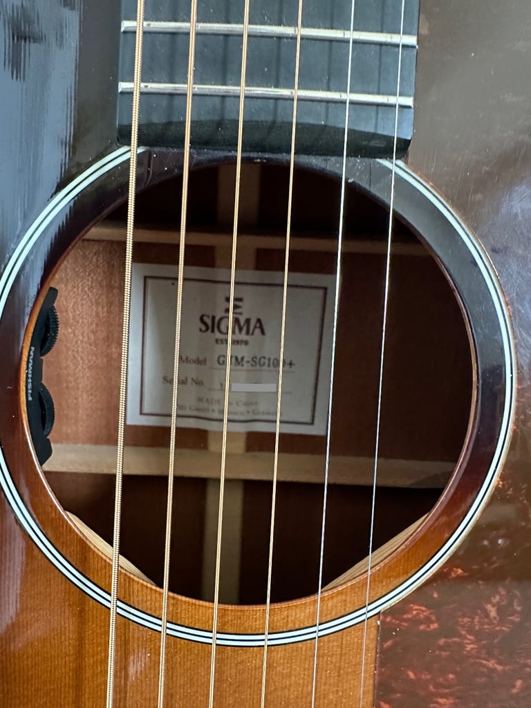 Sigma GJM SG100+  electro acoustic guitar + Hard Case + Daddario Humidity pack
