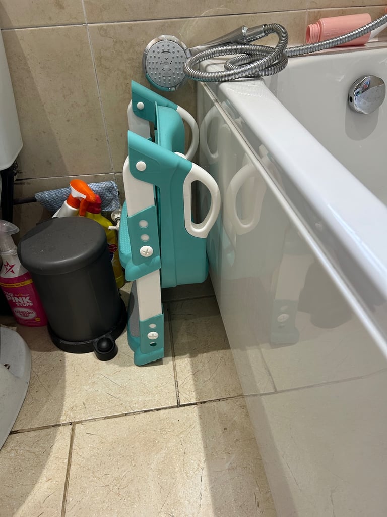 Ladder toilet seat 