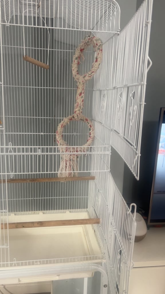 Parrot cage