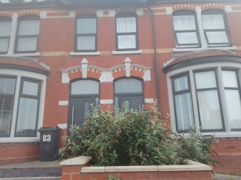 .Ensuite double room all bills included professional wanted  for 4 tenant large house