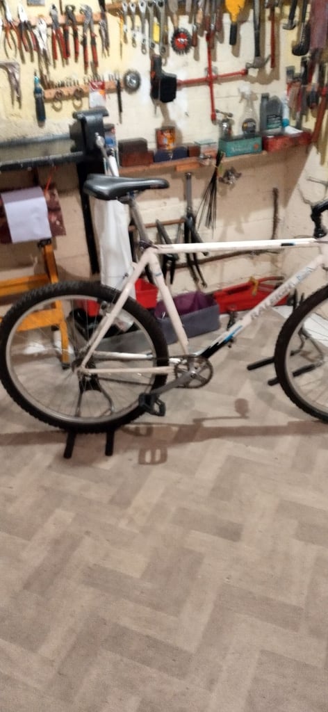 Raleigh mountain bike single speed 