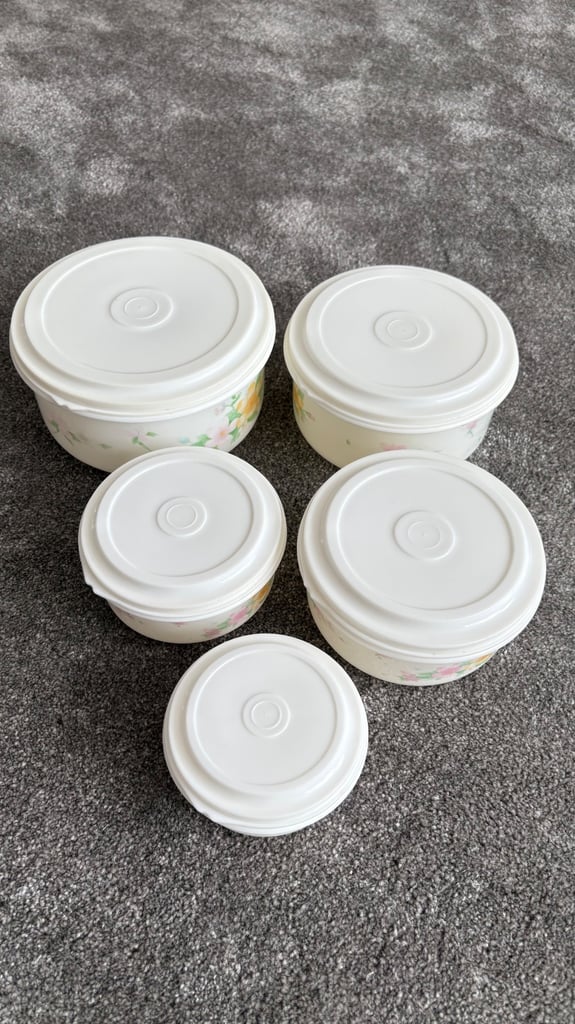 Set of 5 food storage containers