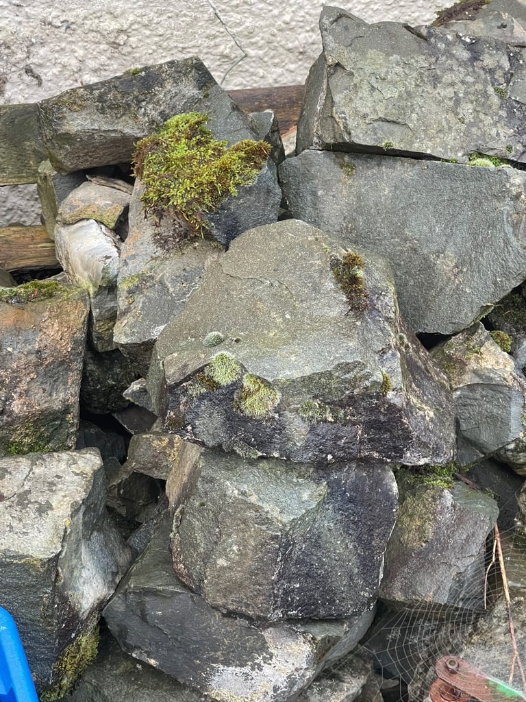 Stone, free to uplift