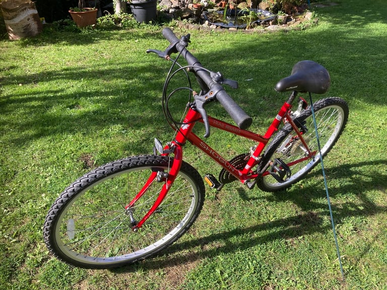 Girls trail breaker mountain bike 