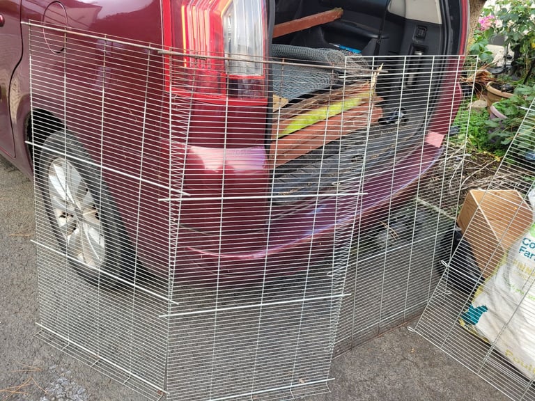 Bird accessories, cage and carry cage