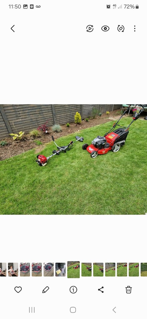 image for Grass 