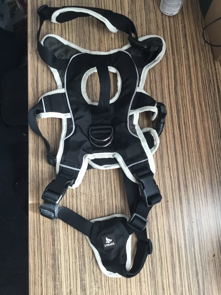 Medium dog accessories 