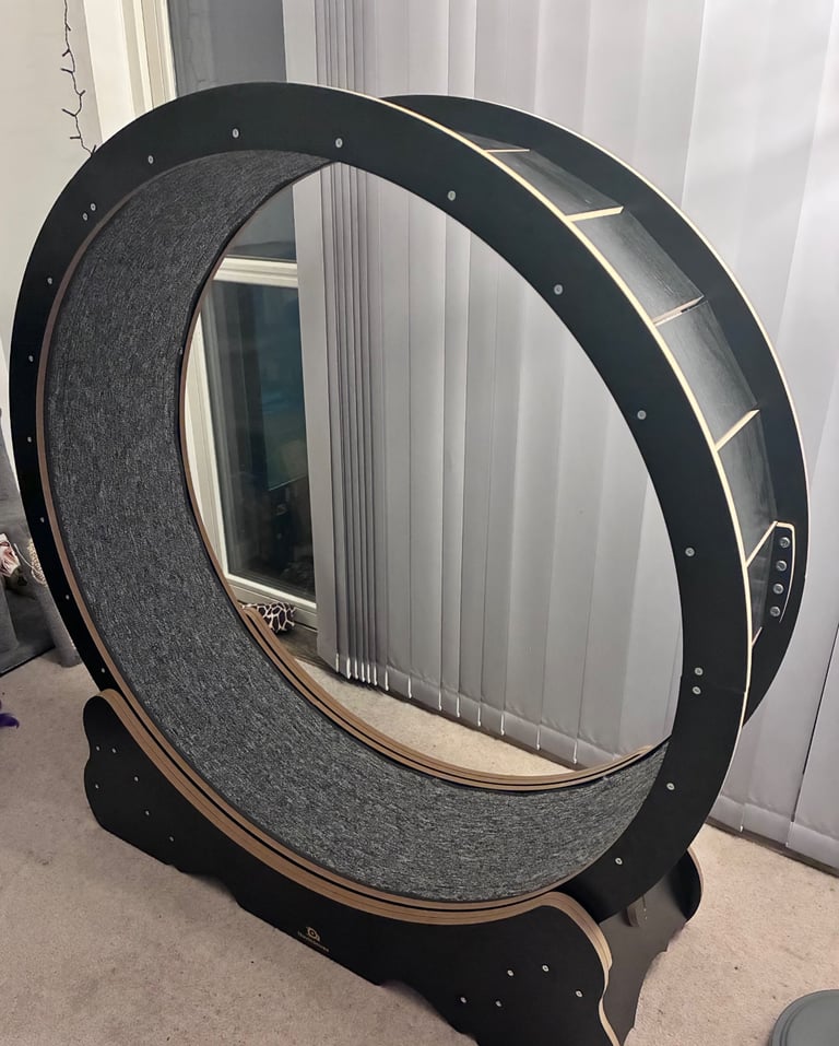 Large Cat Wheel 