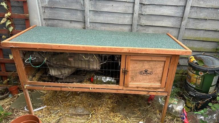 image for Rabbit hutch 