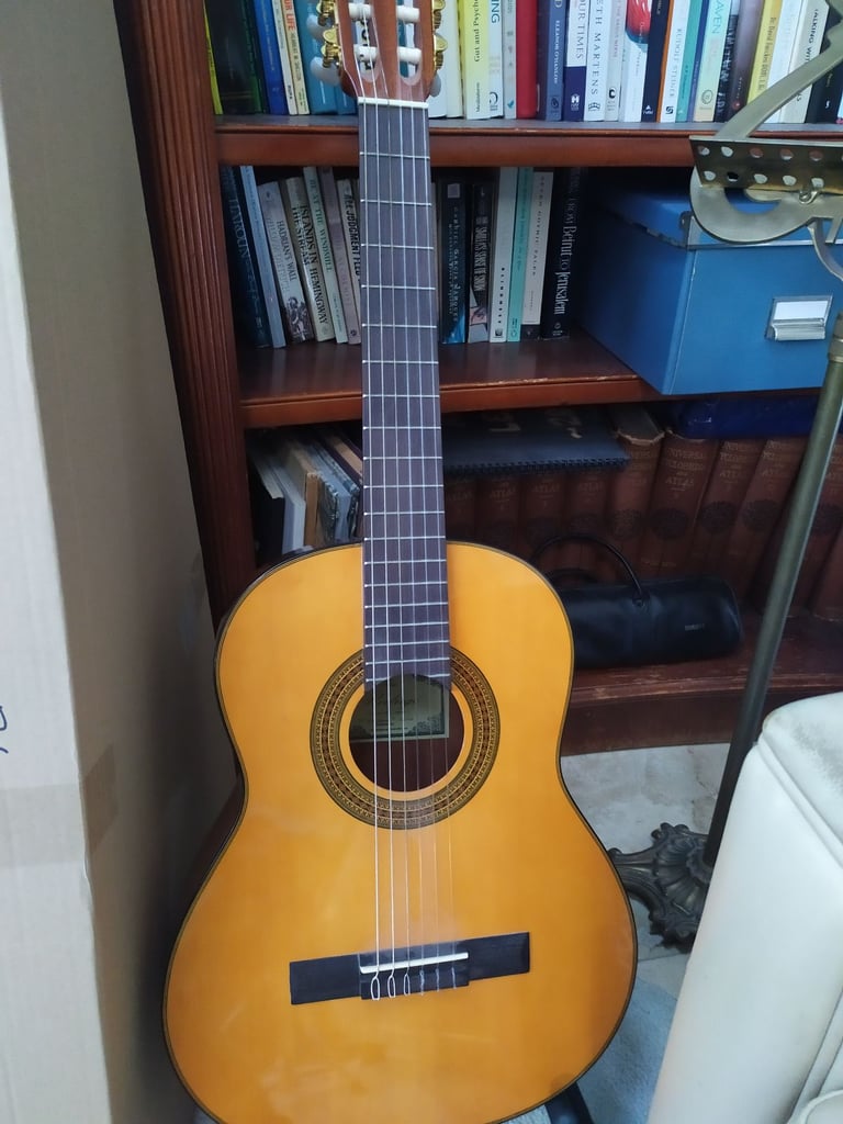 Rodrigo 3/4 guitar
