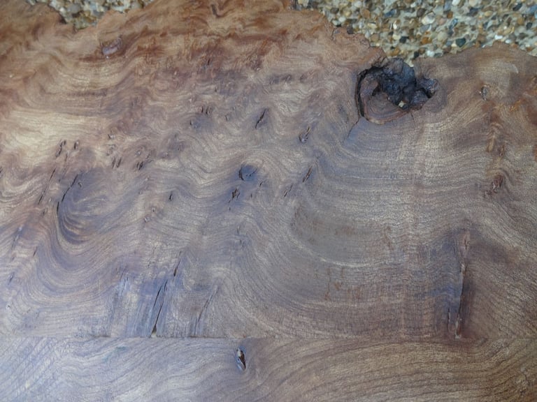LIVE EDGE TABLE ~ SLAB OF BURR WALNUT ON A DOUBLE TRIPOD BASE ~ 
