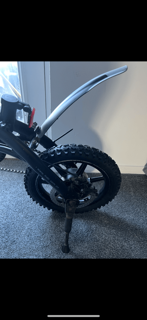 Fiido eletric bike