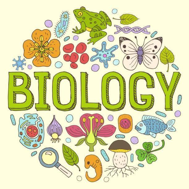 National 5/Higher Biology Tutor, Face-to-Face or Online, Glasgow Area