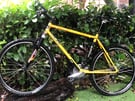 Mellow yellow adult mountain bike 