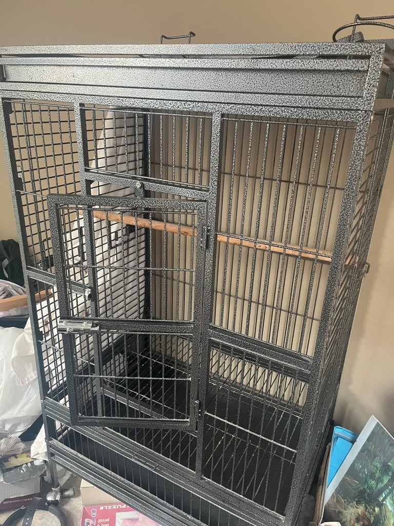 Bird Cage