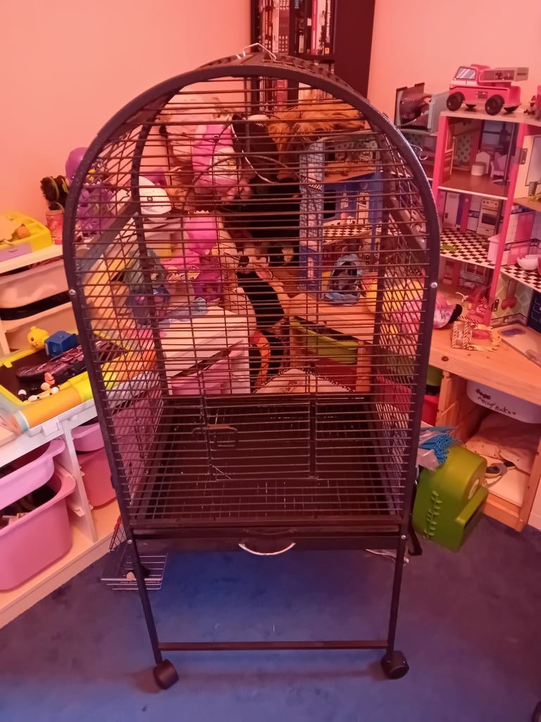 Parrot cage