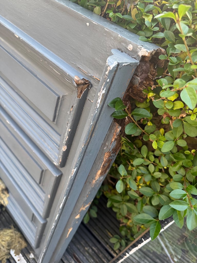 image for Hard wood door 