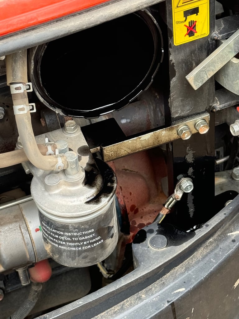 friendly mobile mechanic diagnostic/repairs/ servicing