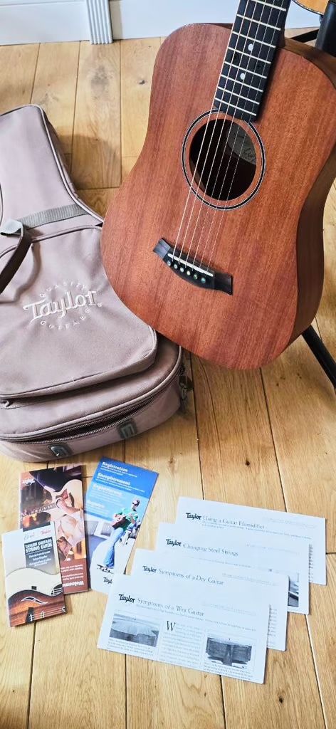 Taylor BT2 guitar with gig-bag in lovely condition with rich sound.