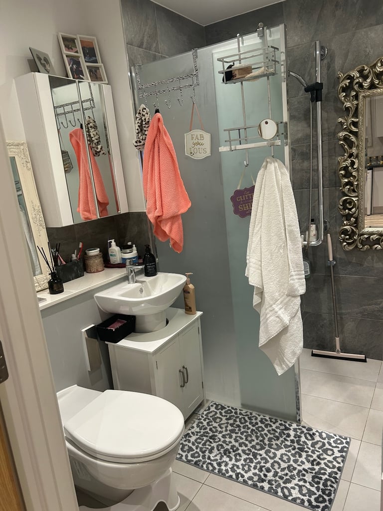 Westminster 1 bed with large terrace 