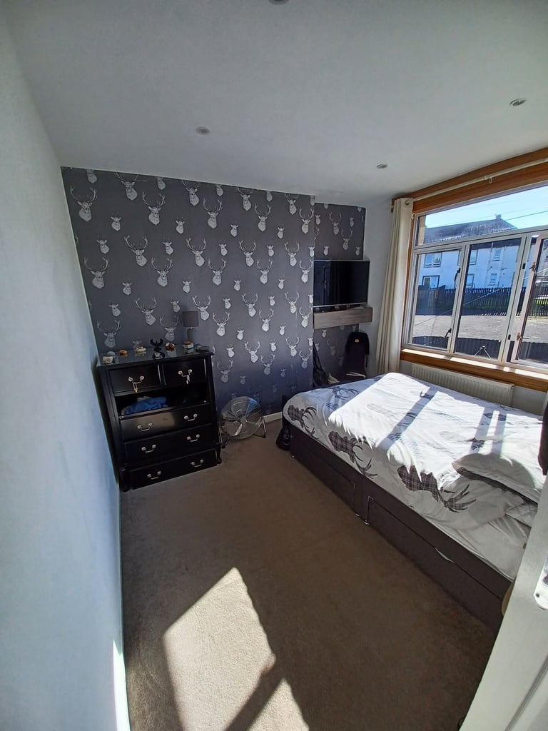 Room for rent - single person only