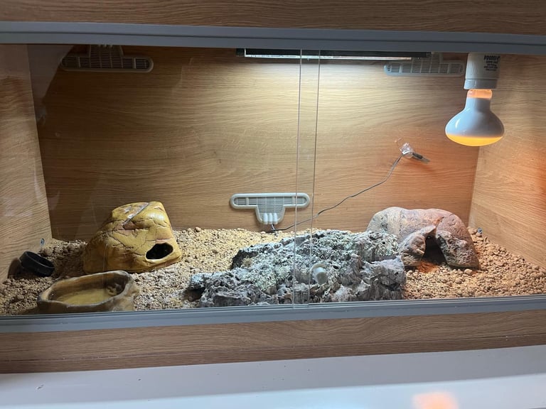 Vivexotic Oak Vivarium medium size 