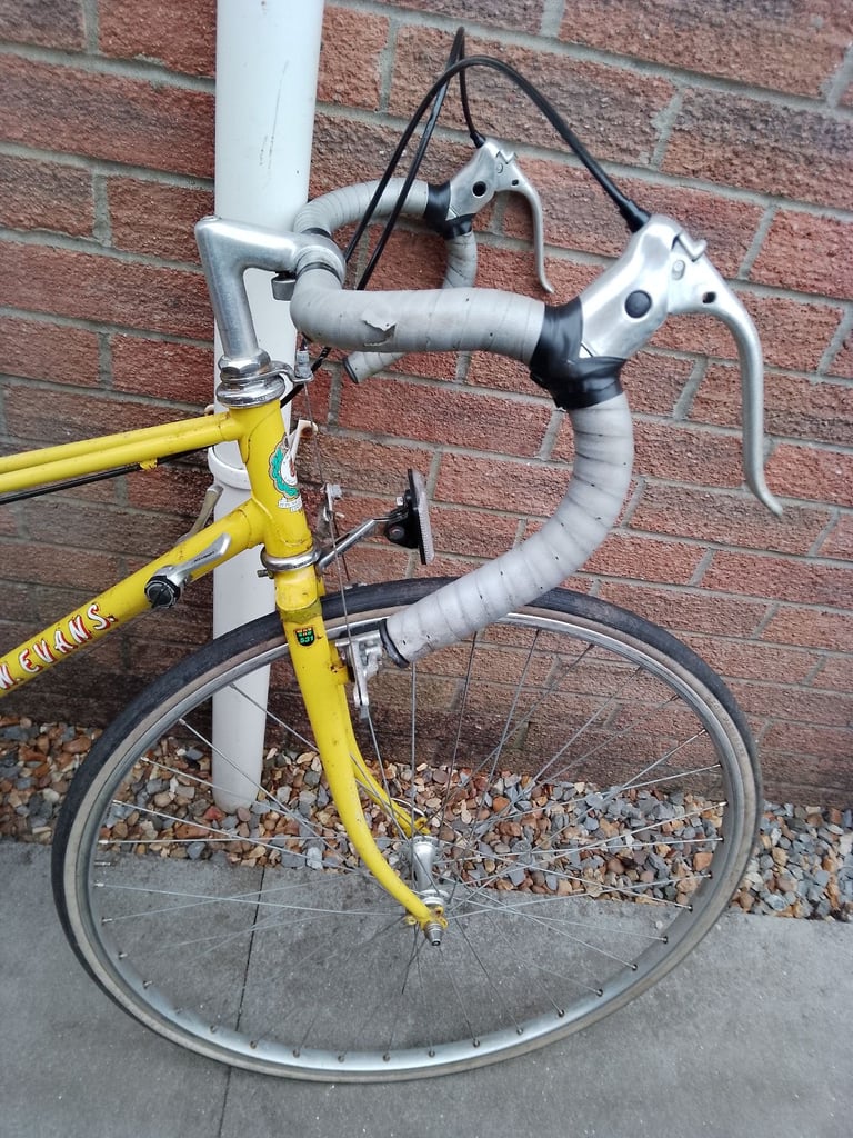 Rare Vintage Ladies F W Evans Reynolds 531 Mixte Frame Road Racing Bike Bicycle