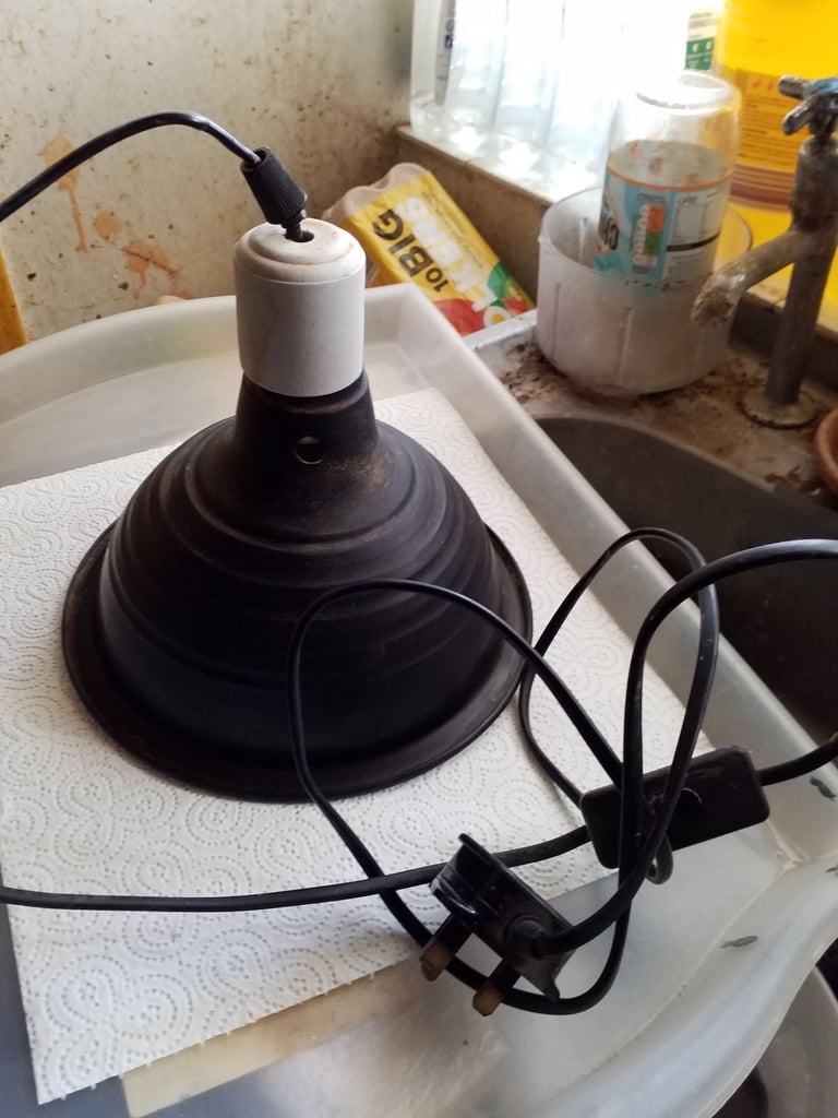 EXO TERRA GLOW LIGHT DOME ,  SIZE MEDIUM.   EXCELLENT CONDITION 