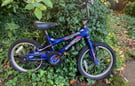 Ammaco kids bicycle FREE 