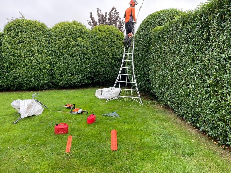 image for Tree surgeon and Garden services 
