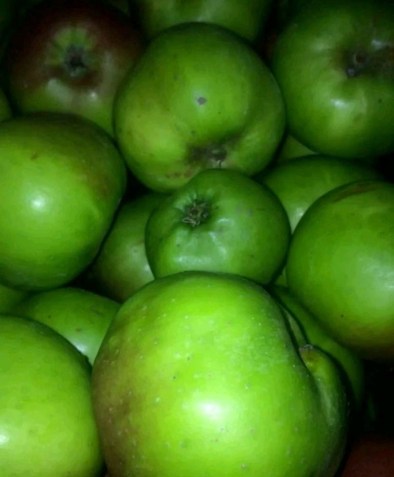 Organic Bramley Cooking Apples 🍏 READY NOW! 