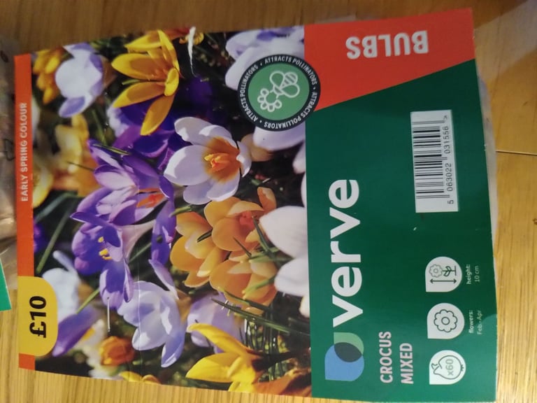 Daffodil, Crocus, & Allium bulbs 