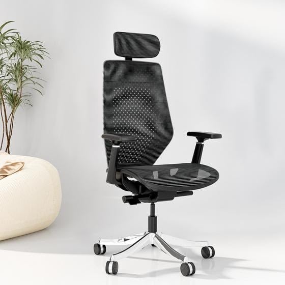 Ergonomic Chair BS11 Pro Flexispot - like new 