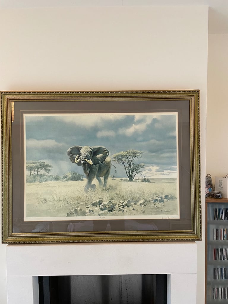 Large framed elephant print.