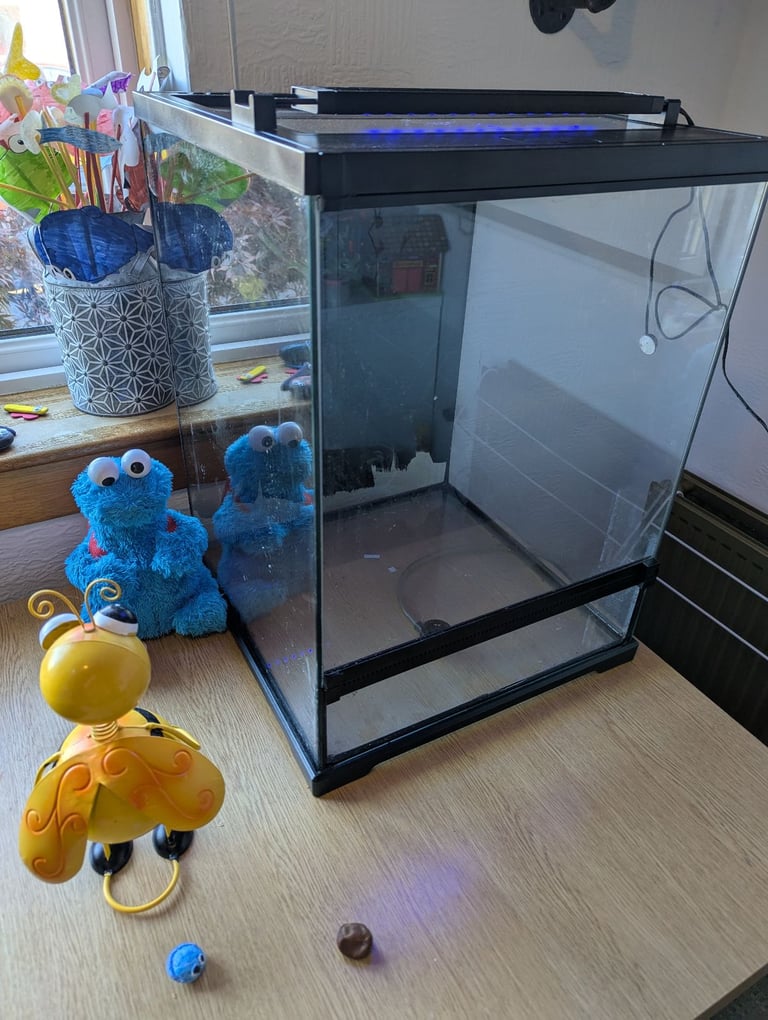 Exo terra - Tree frog Terrarium