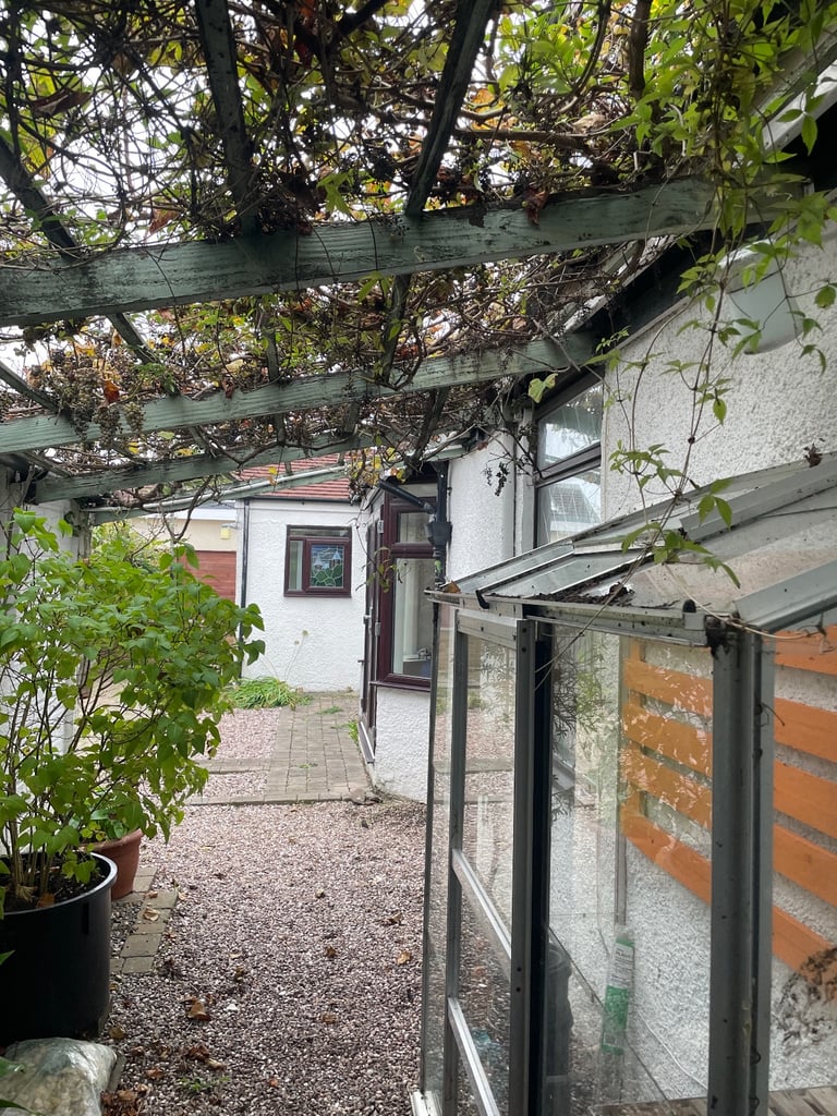 image for Greenhouse 
