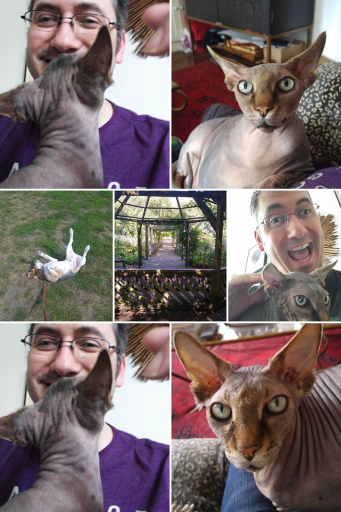 West London house sitting and pet care. Chiswick, Shepherds Bush & Hammersmith.