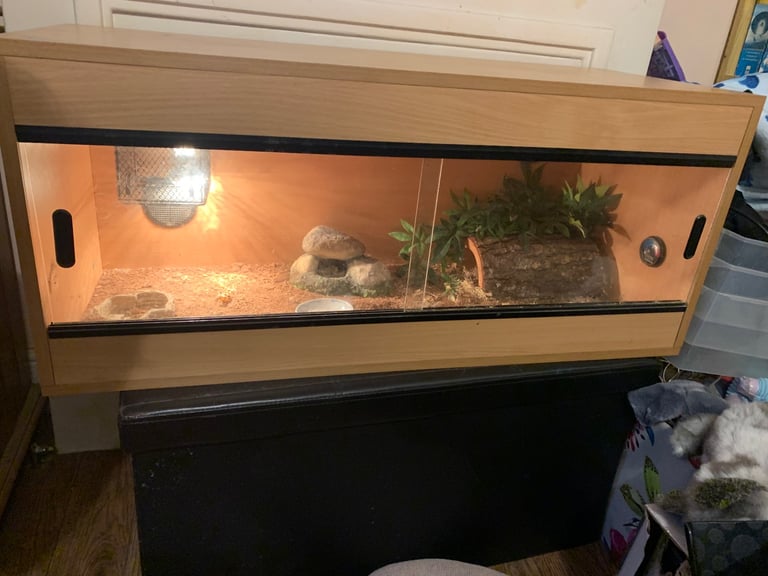 Reptile vivarium 