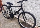 Raleigh Max Ogre 15  Bike